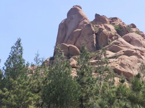 活性炭的废料如何处理