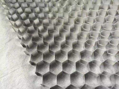 蜂窝活性炭100x100x100