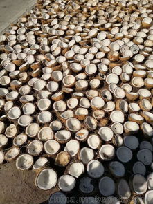 蜂窝活性炭厂家联系方式