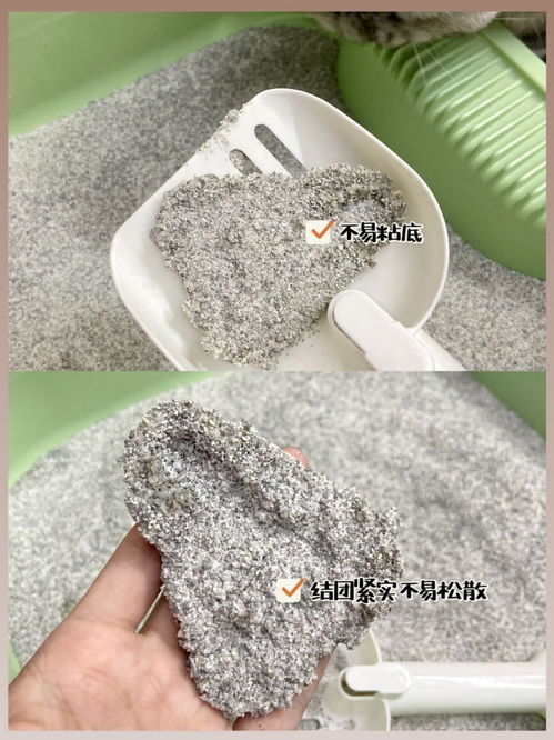 活性炭豆腐猫砂怎么样