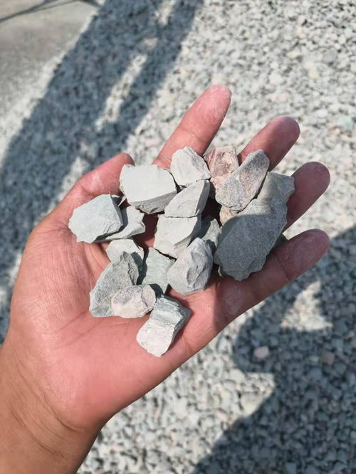 沸石和活性炭吸附哪个好