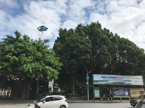 佛山陈村哪里有卖活性炭