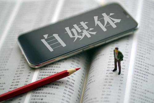 广州比较靠谱的柱状活性炭