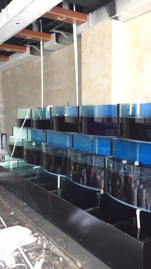 甲醛检测第三方权威机构