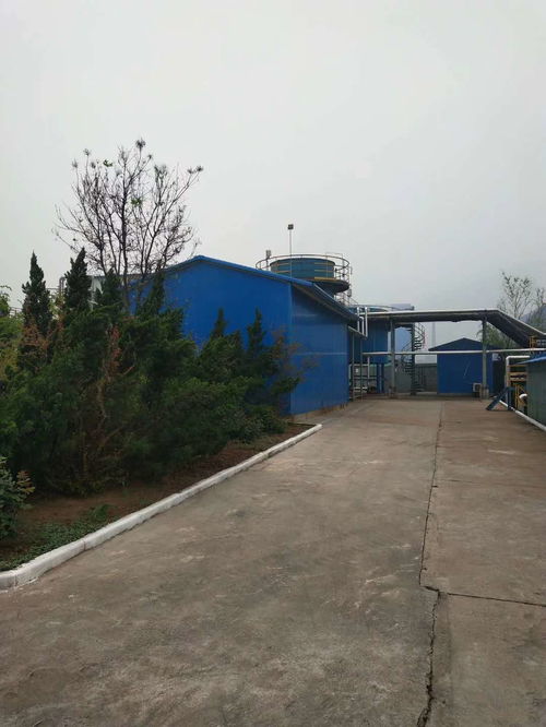 垃圾焚烧活性炭吸附作用