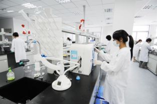 活性炭第三方检测公司