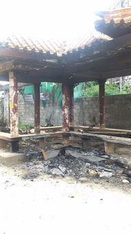 佛山高明垃圾焚烧电厂