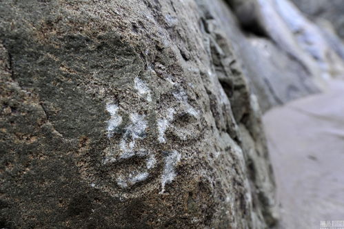 帝江石和活性炭除甲醛哪个好