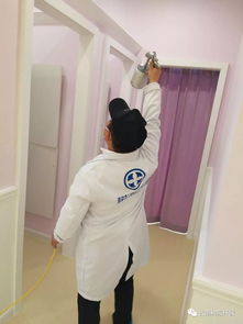 新房甲醛怎么去除最快