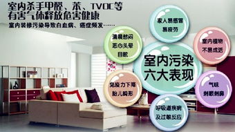 清除甲醛的最佳方法