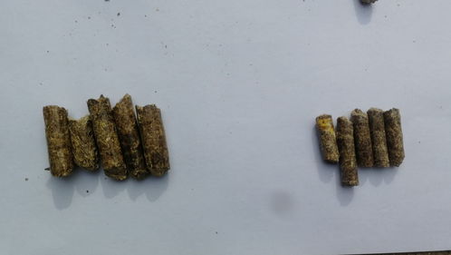 活性炭碘值800多少钱一吨