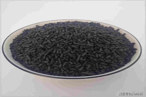 活性炭是什么样子的