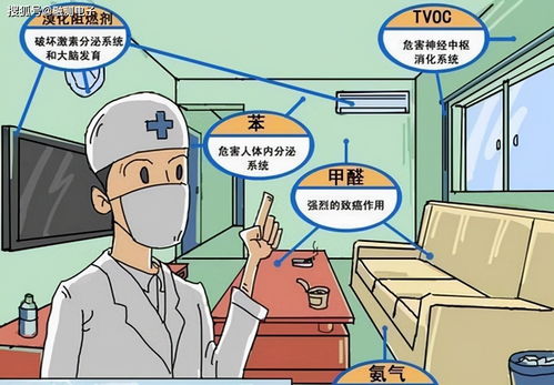 甲醛去除的正确方法