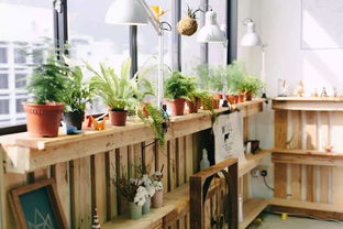 新房甲醛多久才消