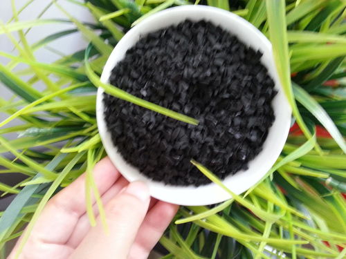 活性炭的正确使用方法视频