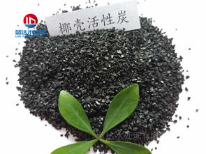 全国知名生产活性炭的厂家