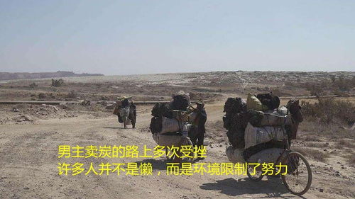 道真哪里有卖炭的地方