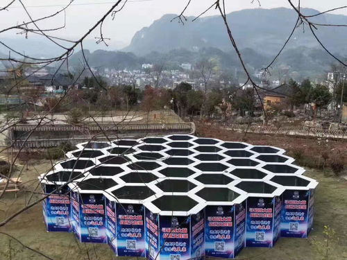 蜂窝活性炭多少钱一立方