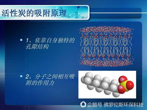 活性炭为什么具有吸附作用