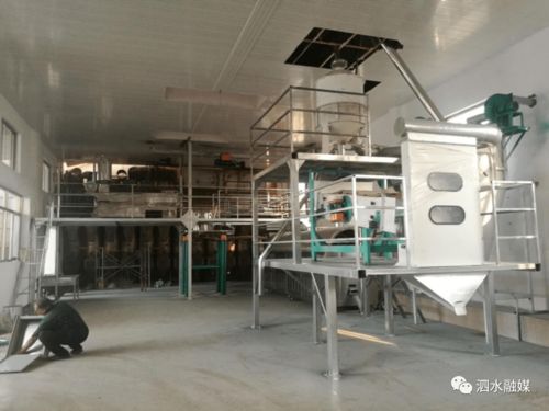 环保炭加工厂需要投资多少钱
