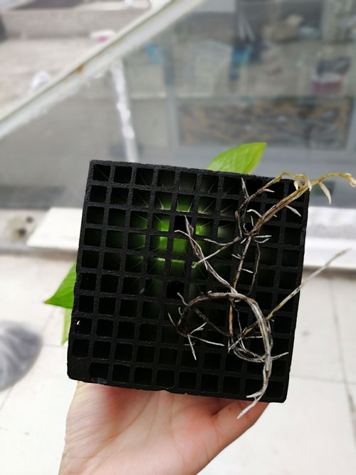 活性炭粉价格多少一吨