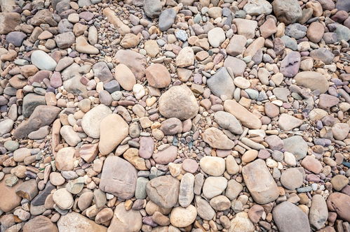 机制竹炭设备全套多少钱