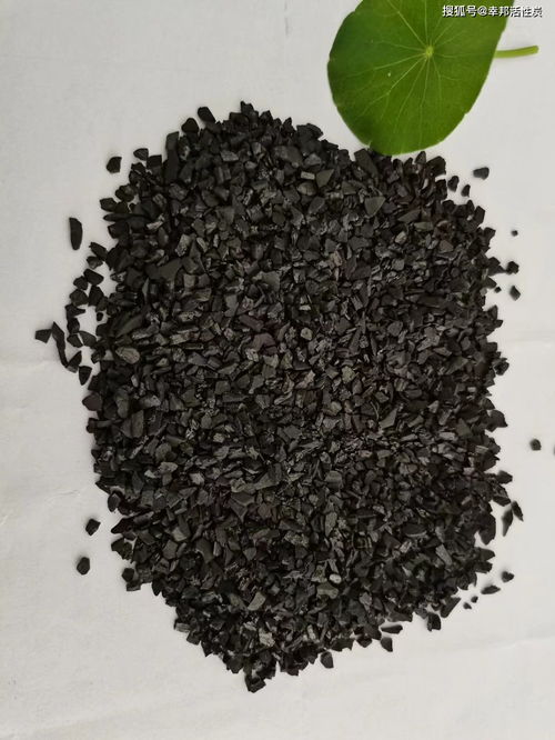 活性炭是什么样的图片