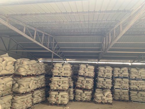 全国最好的高温竹炭产地