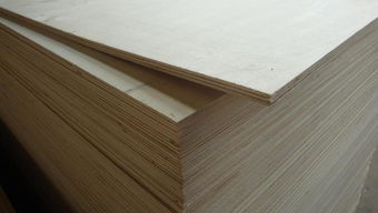 伊仕利伊芯板是颗粒板吗