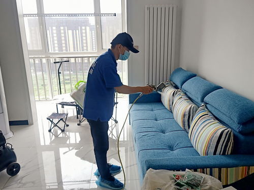 除甲除甲醛最有效方法