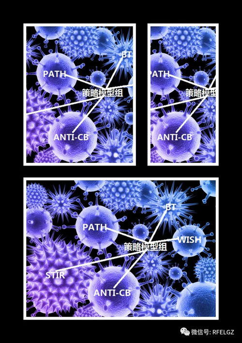 生产竹炭的设备哪里有