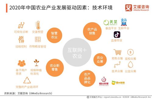 触媒活性炭能分解甲醛吗
