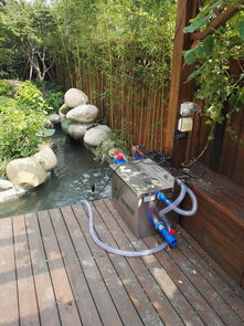 鱼池不用活性炭能养水草吗