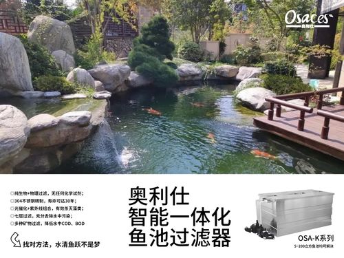 活性炭放鱼缸里对鱼有没有危害