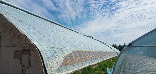 大棚湿度太大如何除湿