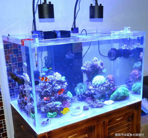 养鱼的活性炭第一次用怎么清洗