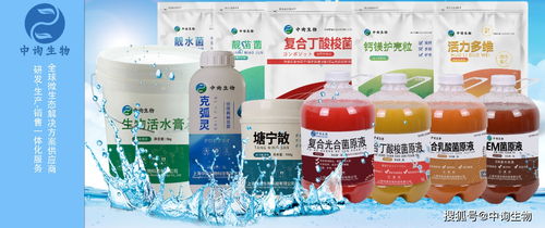 奥氮平中毒可以用活性炭吗