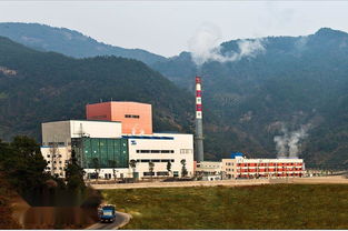 福建垃圾焚烧电厂用活性炭