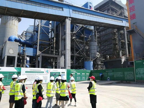 垃圾焚烧发电厂活性炭吸附