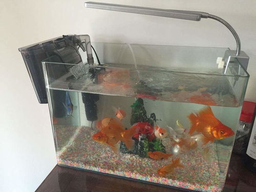 水族活性炭可以反复使用吗