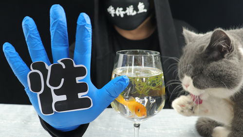 用活性炭能去鱼缸黄水吗
