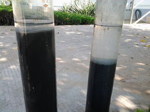 优质污水处理专用活性炭