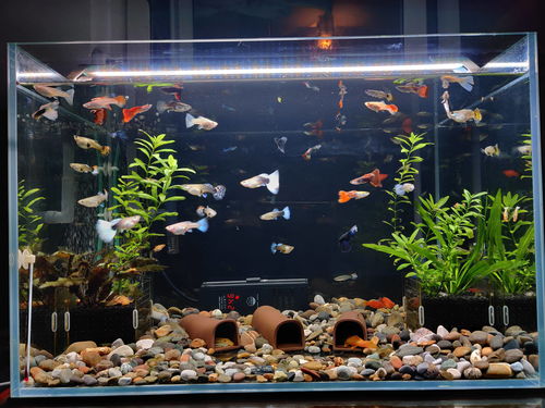 活性炭对水质起什么作用