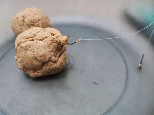 鱼缸里放活性炭对鱼好不好呀