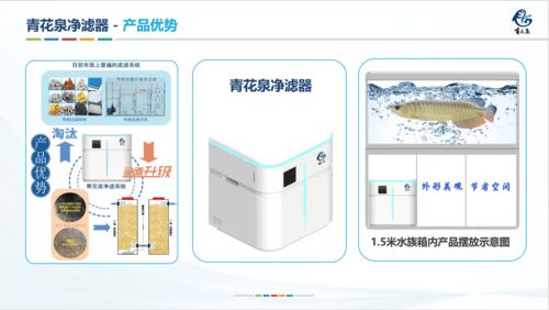 鱼缸为什么不建议放活性炭