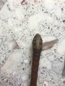 烟斗金属滤芯好还是活性炭滤芯好