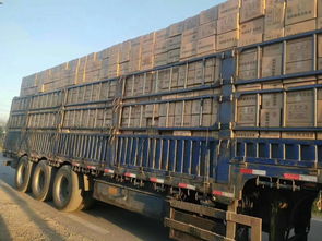 光氧催化活性炭一体机