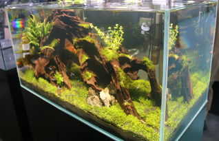 鱼缸用活性炭清洗