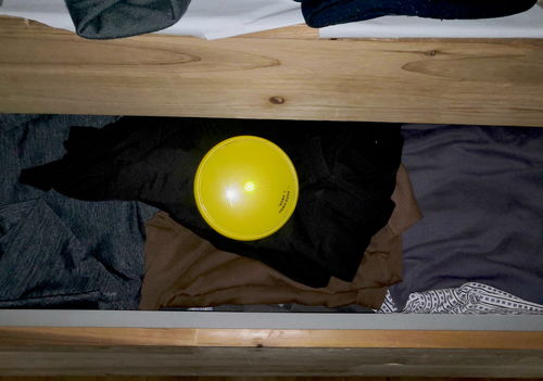 竹炭和活性炭哪个去除甲醛好