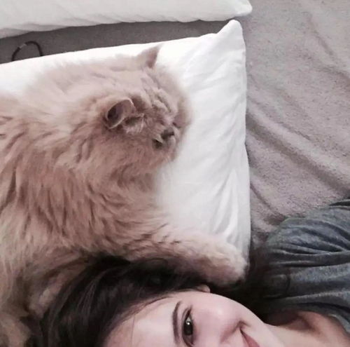 活性炭是不是真的除甲醛